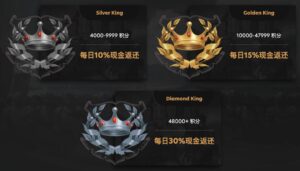 Kingdom Casino 的主要優勢－VIP 方案