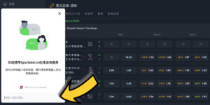 Sportsbet.io顧客服務