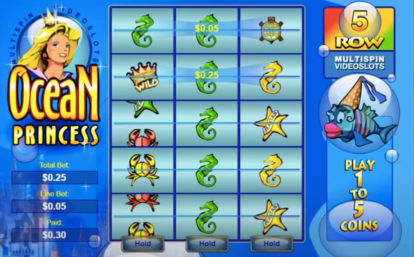 玩家回報率99.10%-Ocean Princess大頭彩老虎機