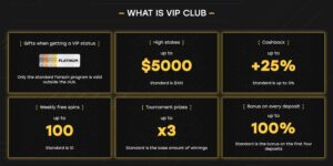 Fairspin.io Casino 公平轉動比特幣賭場 | VIP 方案