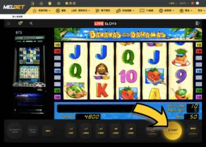 MELbet Casino 梅爾博比特幣賭場 | 真人老虎機