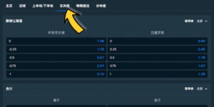 Stake Sports 體育博彩-投注類型