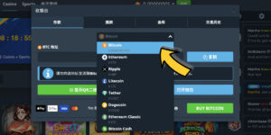 Bitsler 賭場入金方式