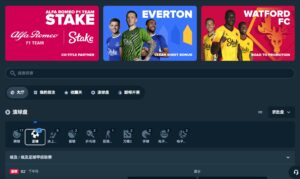 Stake.com 體育博彩
