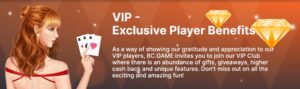 BC.Game VIP 方案