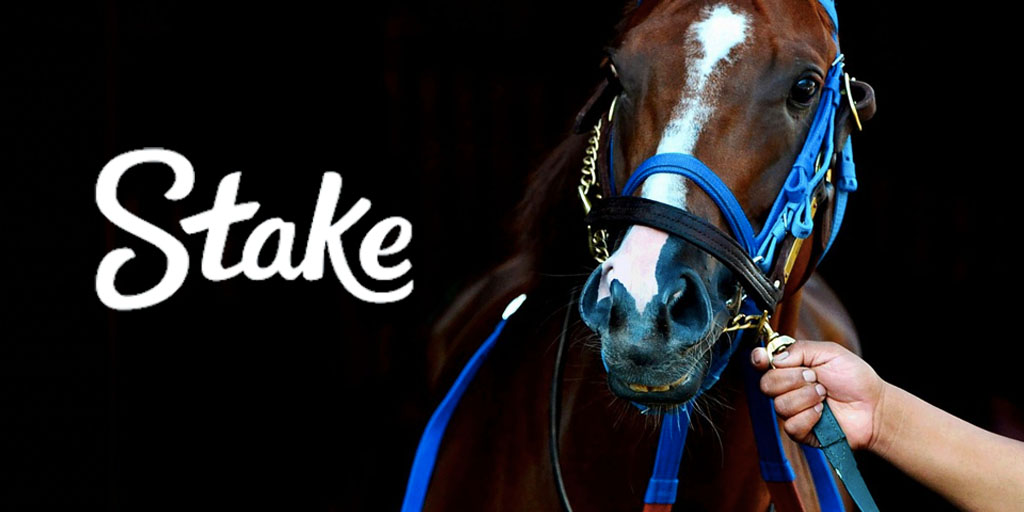 Stake 賽馬投注