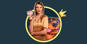 Stake 什麼是 Stake VIP 公關（Host）？