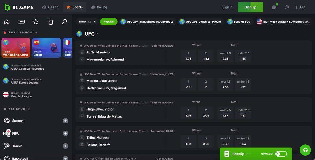 BC.Game:適合加密貨幣愛好者的 MMA 投注天堂