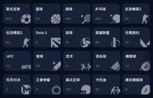 1win 體育博彩網站可以投注項目